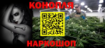 spice Моздок