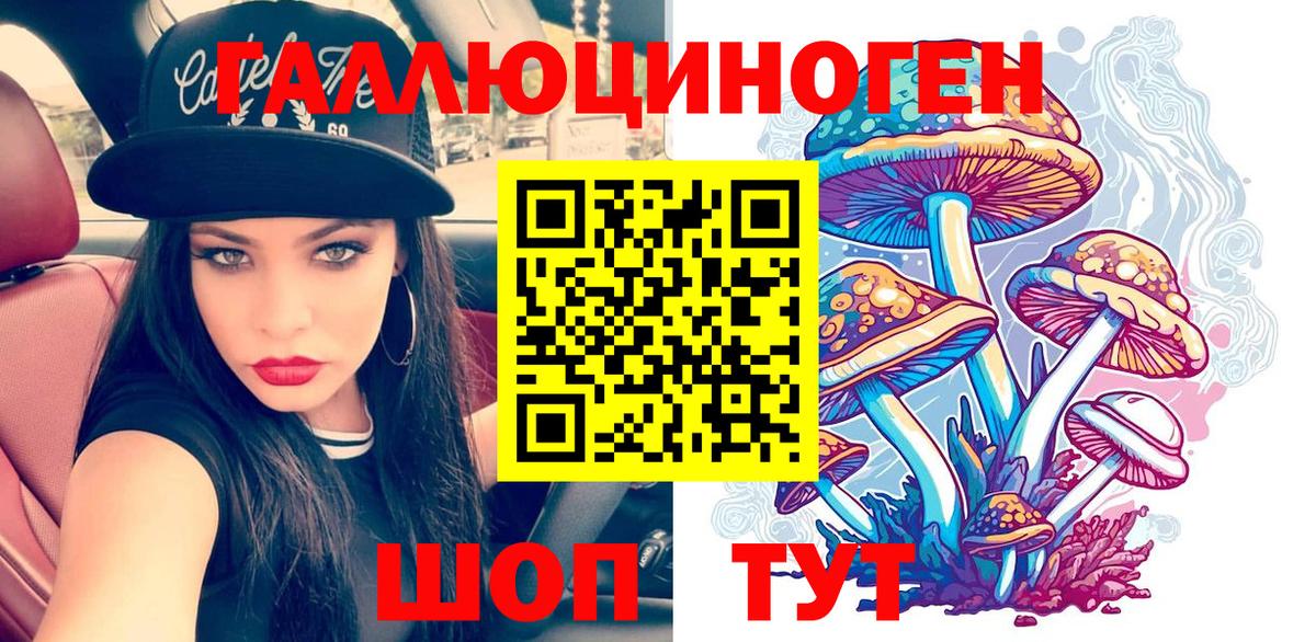 Псилоцибиновые грибы Psilocybine cubensis Тосно