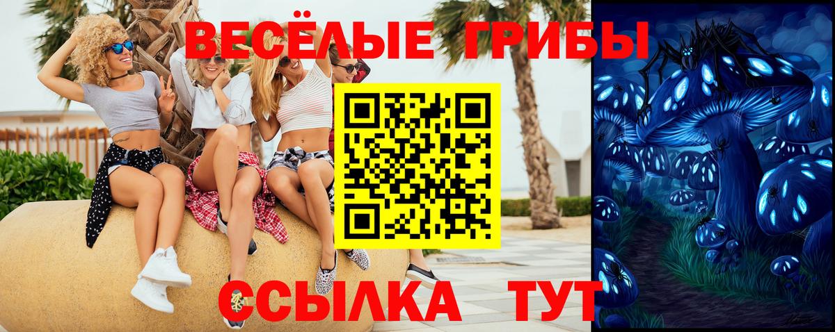 Псилоцибиновые грибы ЛСД  Вход с VPN  где можно купить   Тосно  Псилоцибиновые грибы мухоморы 